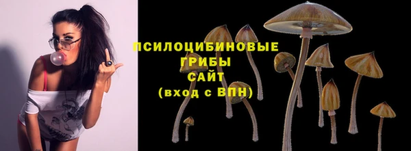 гашик Беломорск