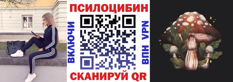 blacksprut ТОР  Курчалой  Псилоцибиновые грибы GOLDEN TEACHER  купить  цена 