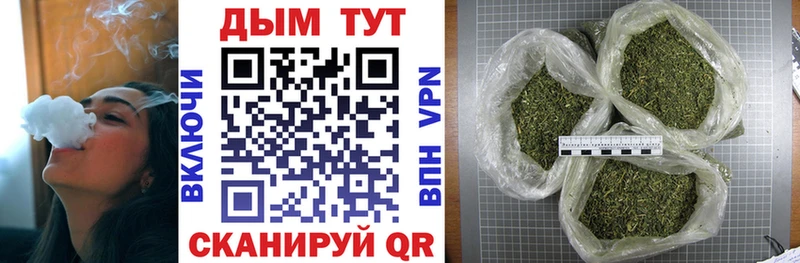 где продают наркотики  Курчалой  МАРИХУАНА THC 21% 